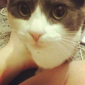 Meet your Posher, Dianne